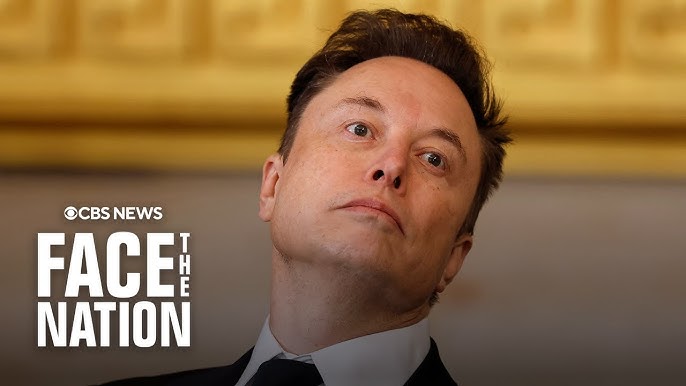 Protest movement against Tesla