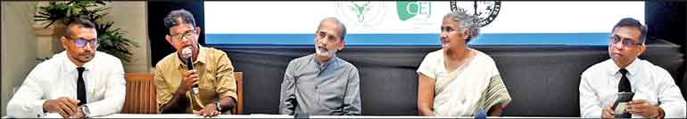 Environmentalists urge Lankan government to disallow any future wind power projects in biodiverse Mannar Island