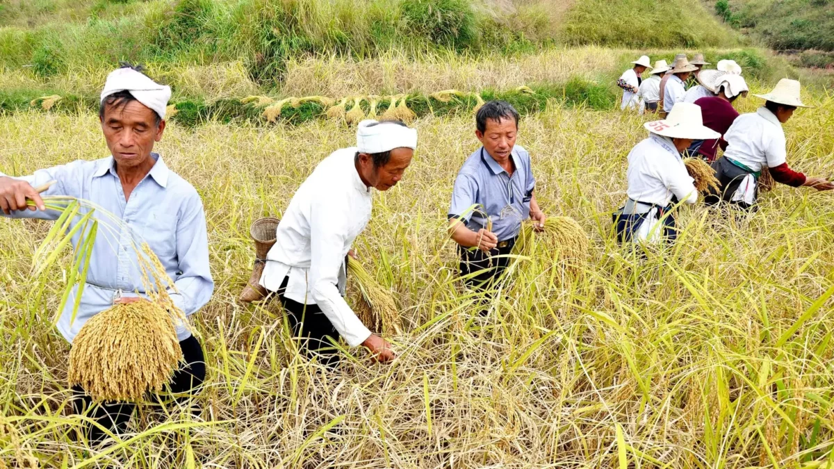 China tackles “relative poverty” after eradicating “extreme rural poverty”
